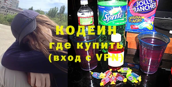 гидра Инта