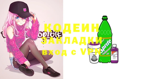 гидра Инта
