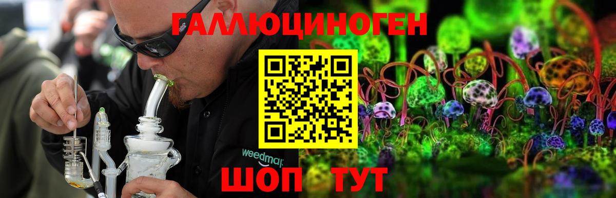 Галлюциногенные грибы мицелий  Псилоцибиновые грибы Psilocybine cubensis  Вход с VPN  купить наркоту  Керчь 